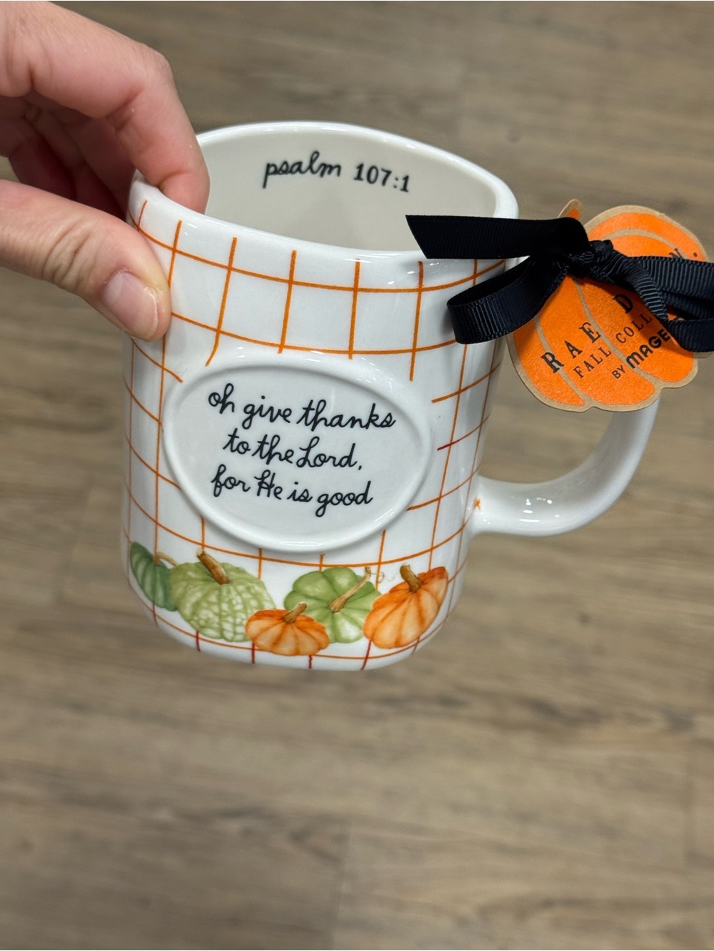 rae dunn Fall Pumpkin Ceramic Mug with Scripture - Orange & Green